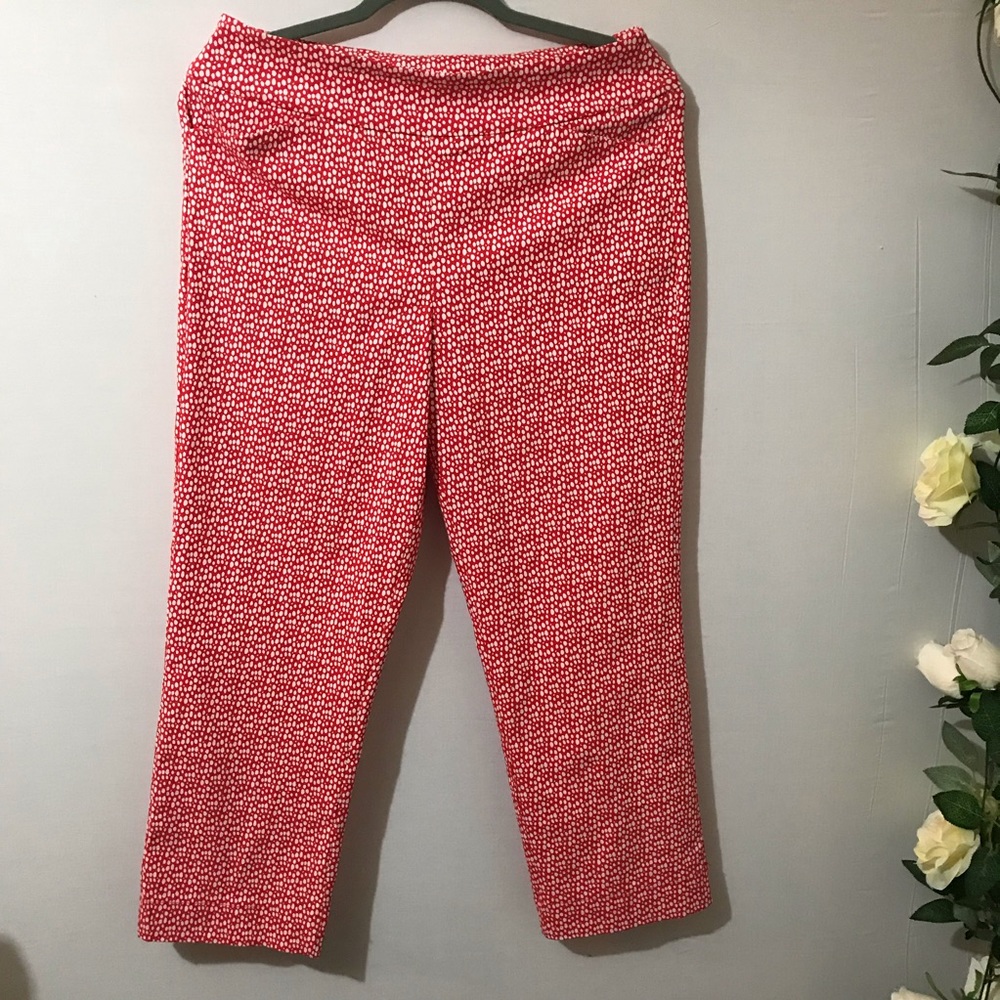 Tribella Capri pant size 10